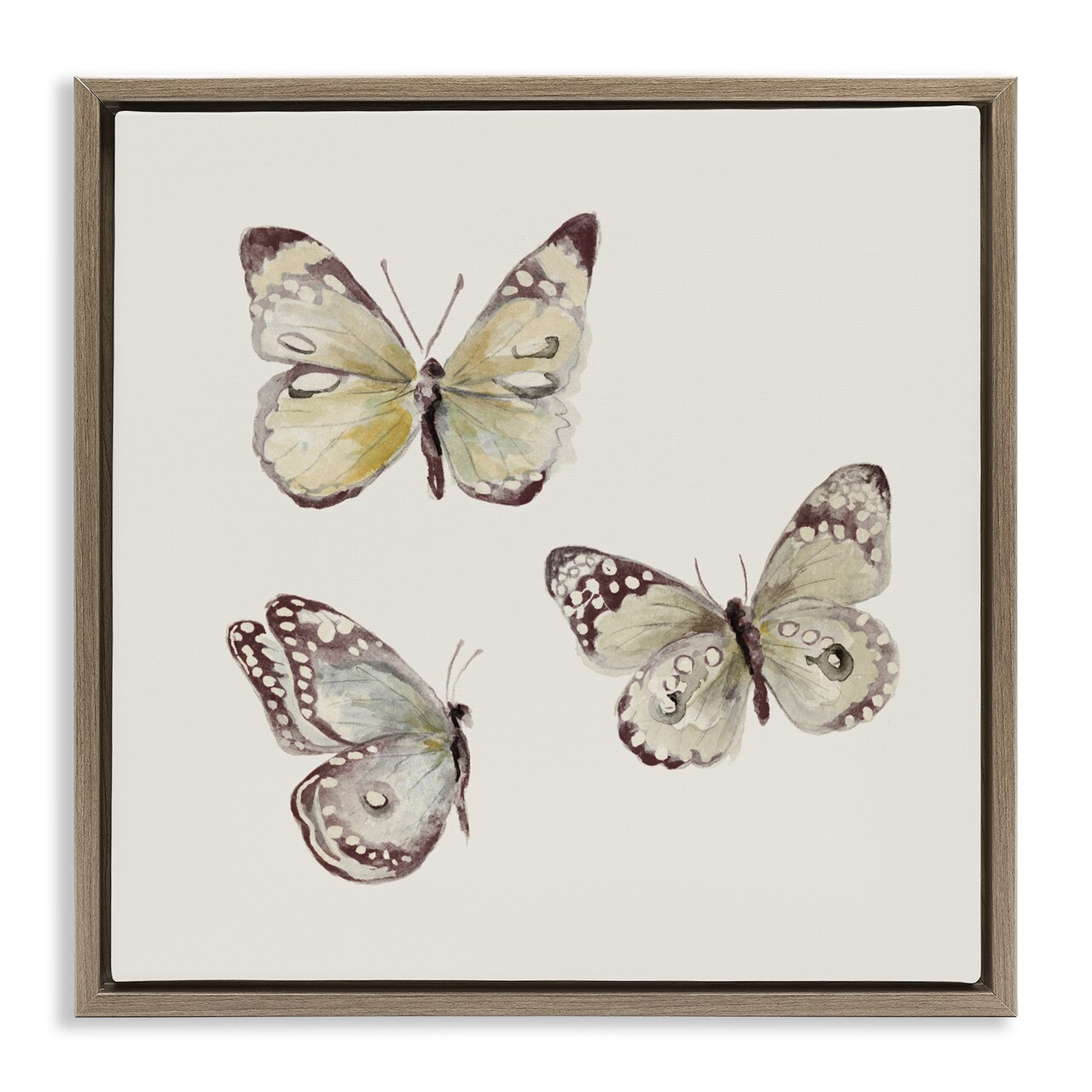 Stupell Industries Delicate Butterflies on Beige Floating Frame, design by Patricia Pinto